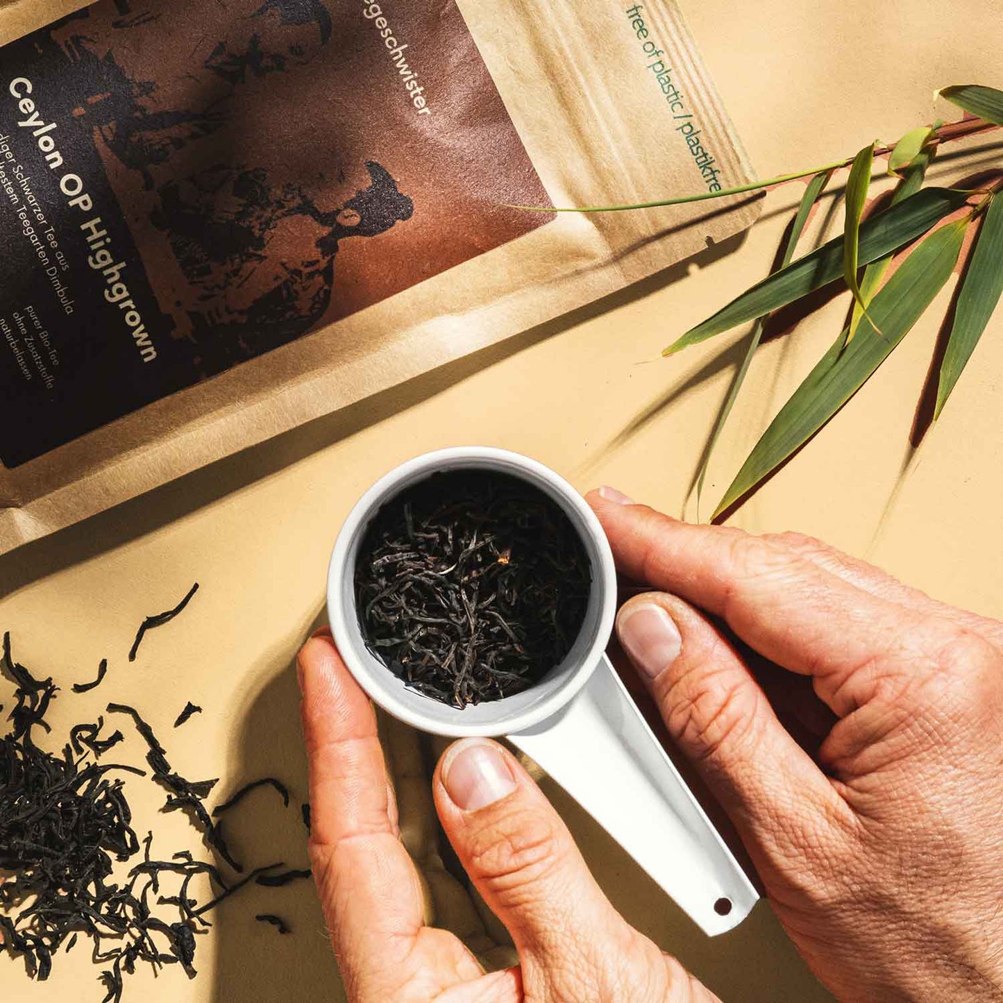 ceylon tee kaufen