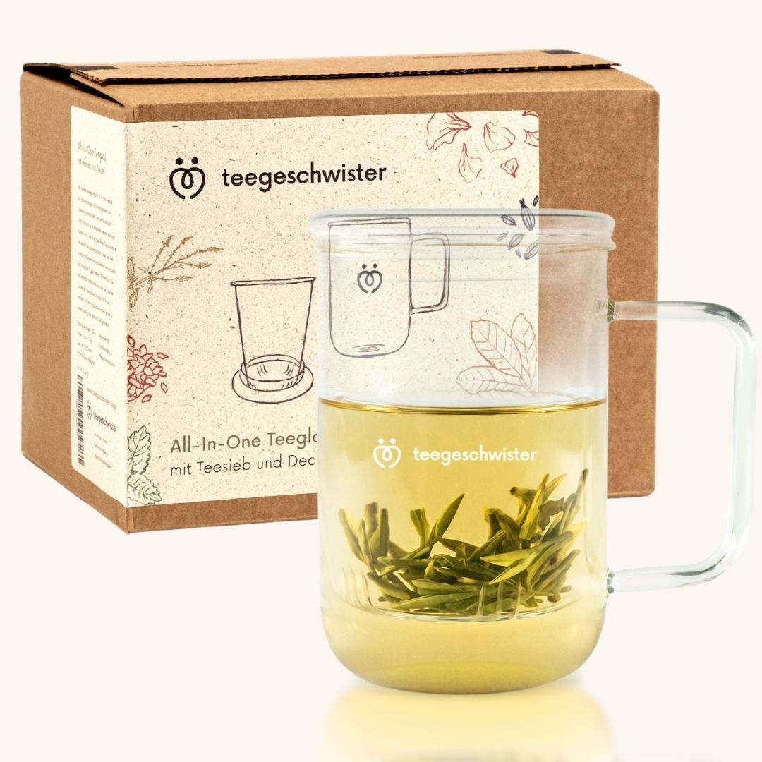 Teeglas mit Sieb und Deckel vor nachhaltiger Verpackung aus Karton