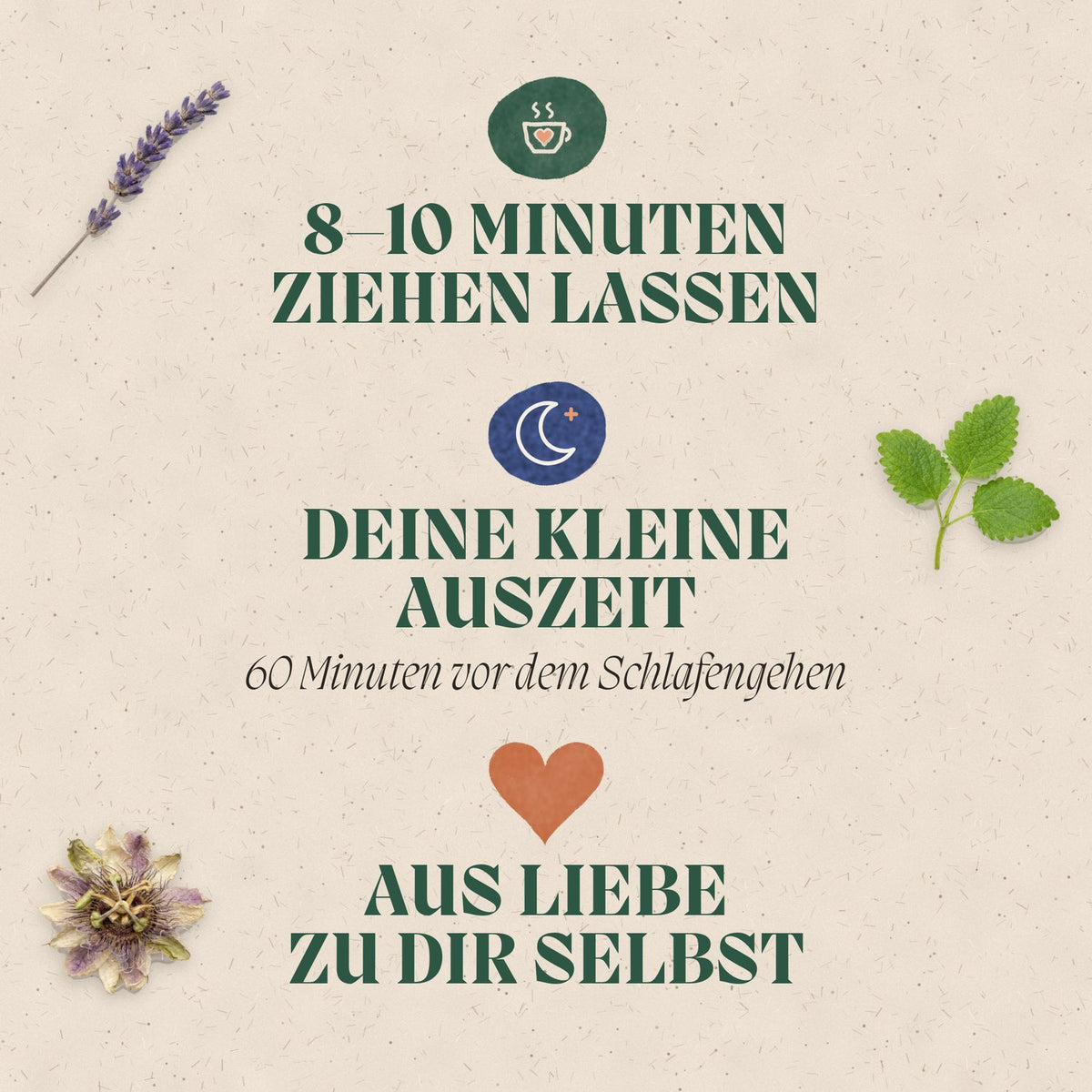 Abendfreund – Bio Abendtee mit Melisse von teegeschwister, Ansicht 4